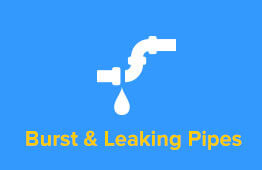 Burst & Leaking Pipes