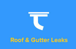 Roof & Gutter Leaks