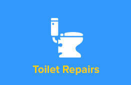 Toilet Repairs
